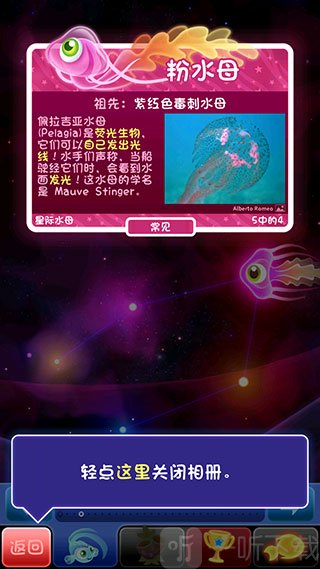 超级星鱼最新版下载安装